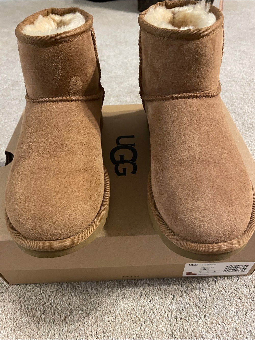 UGG Classic Mini II Chestnut size 6 Authentic with box